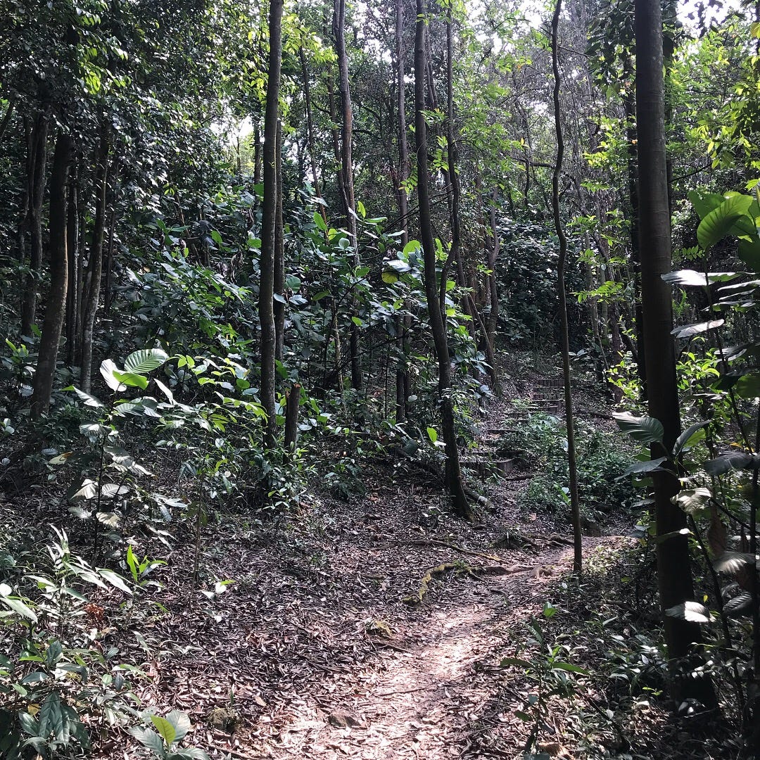 Hiking the Southern Ridges
