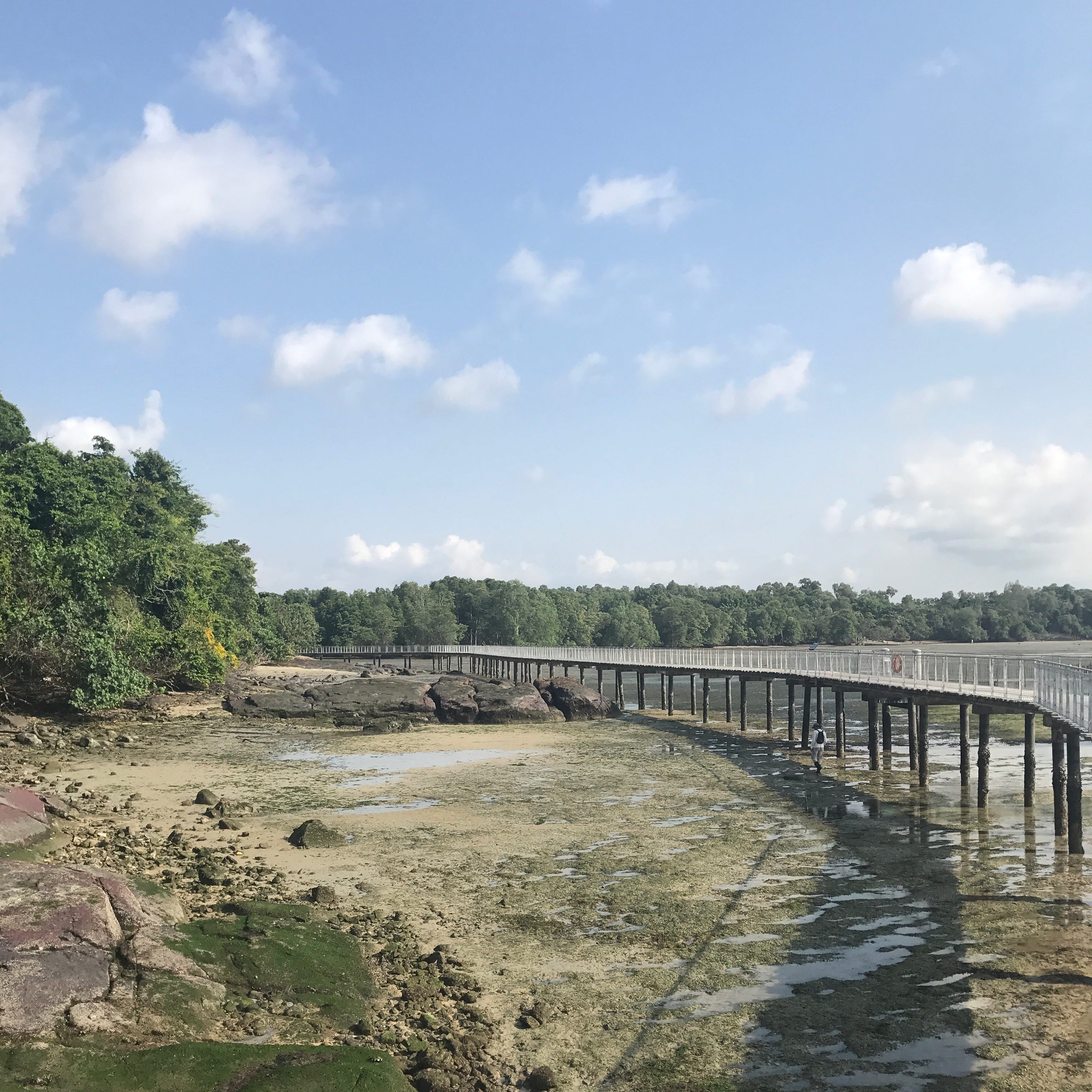 Exploring Tiong Bahru (left) and Pulau Ubin (right)