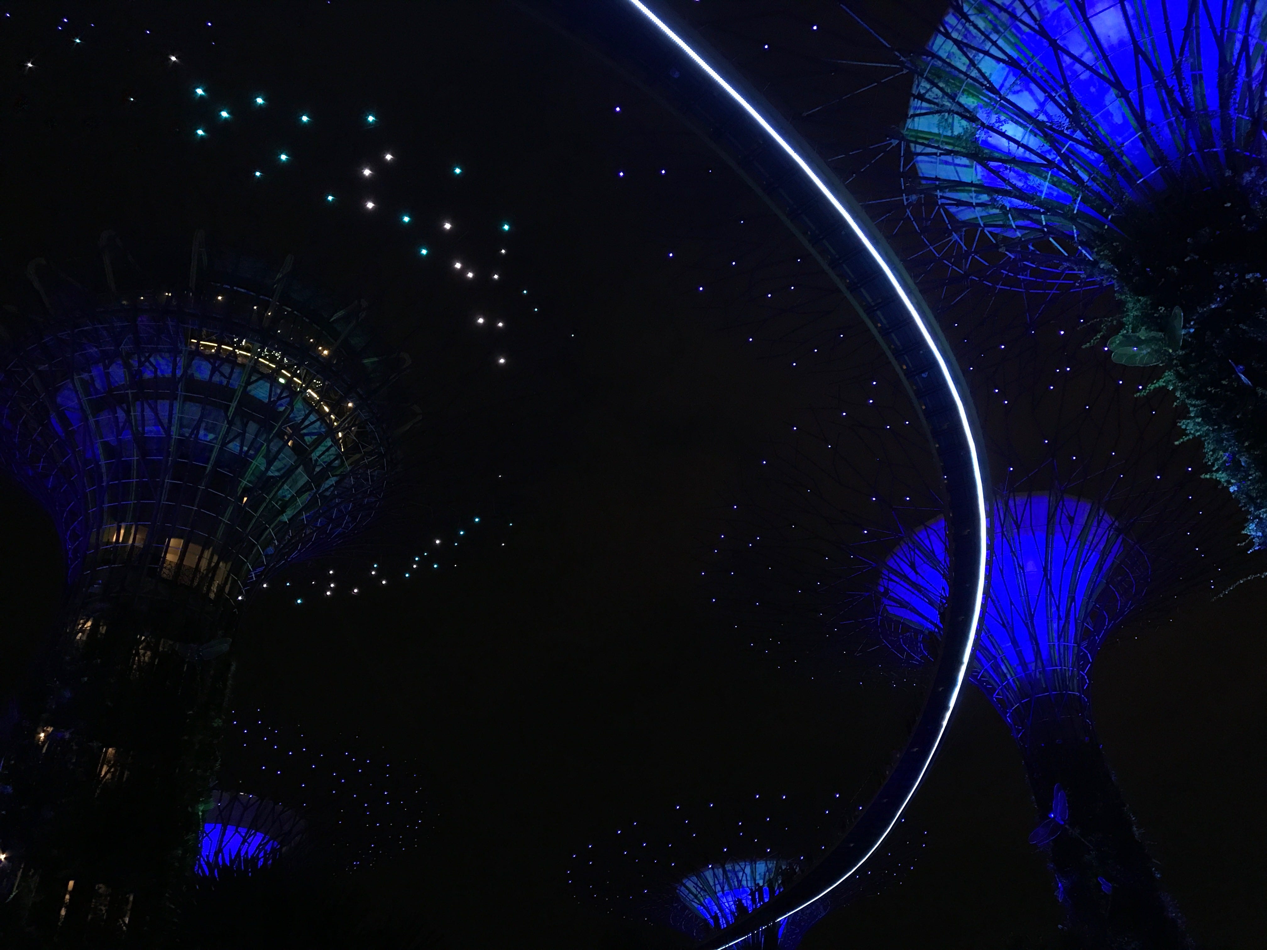 Blue-lit Supertrees beneath a starry night sky in Singapore