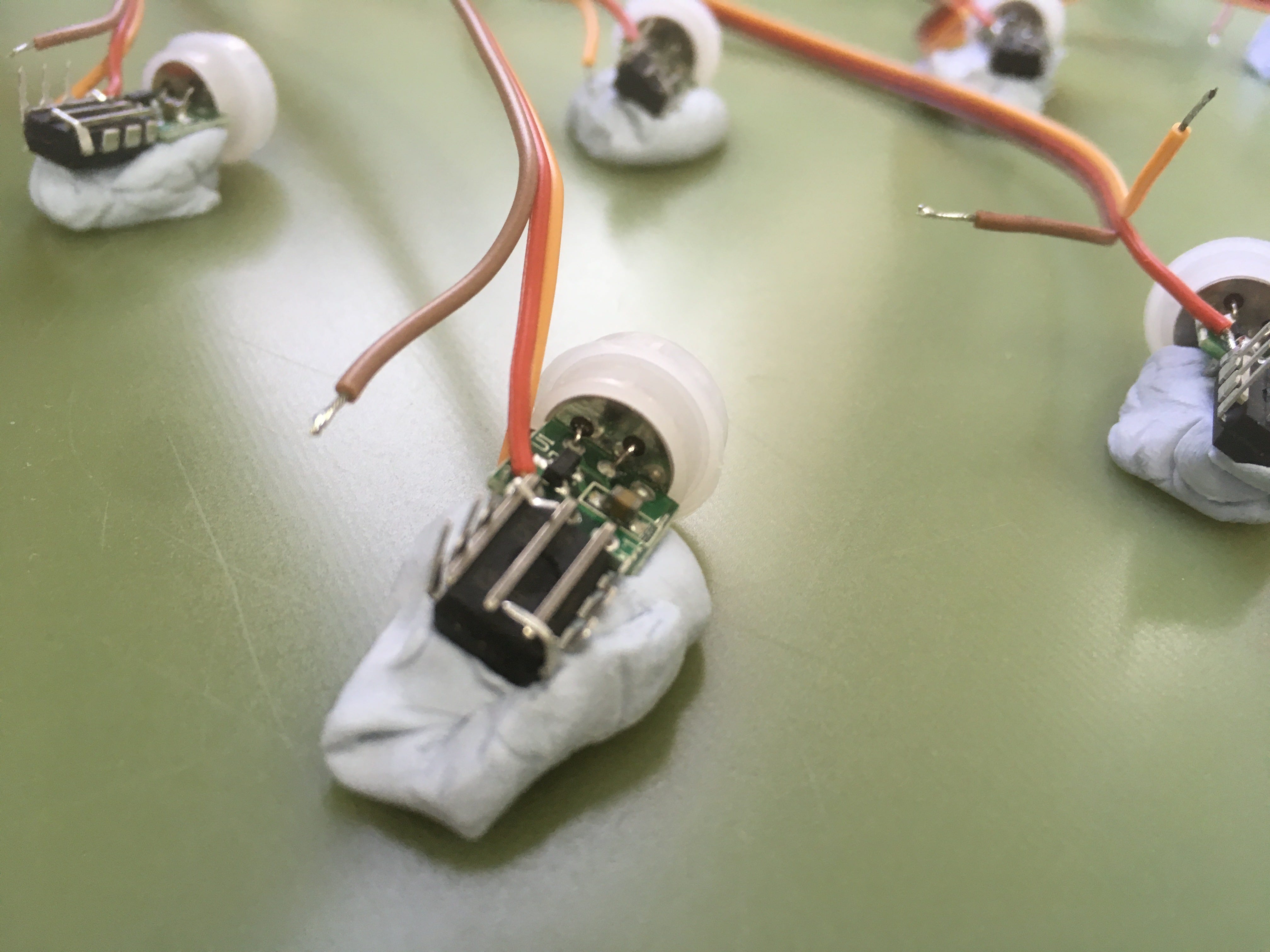 Dead bugs, live circuits