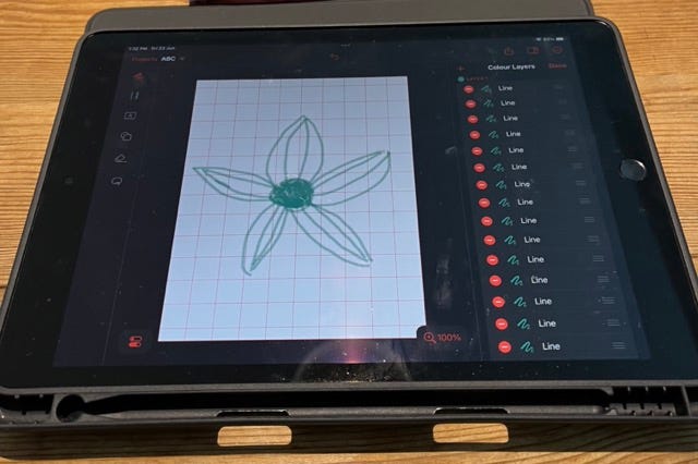 A hand-drawn flower created on the Bianco app.