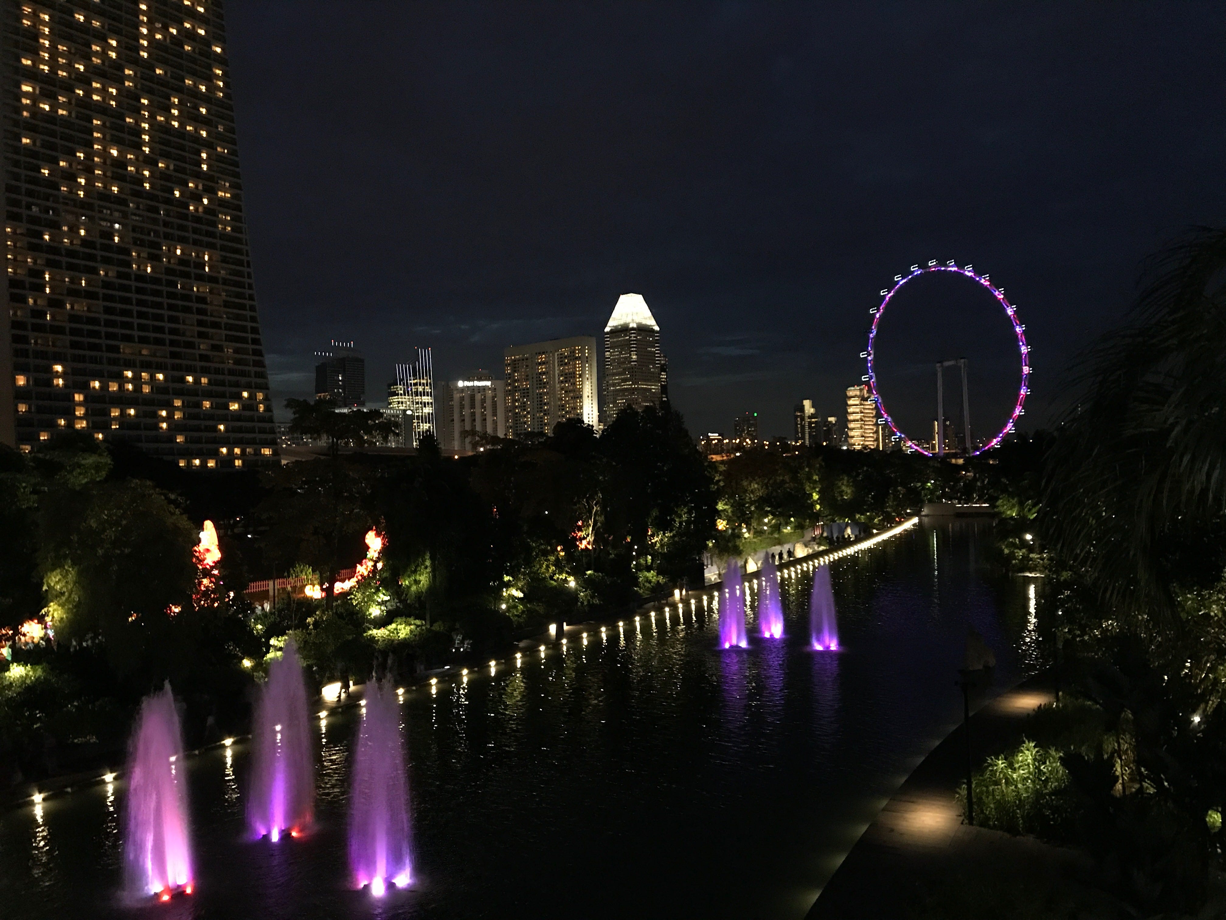 Singapore Flyer and city skyline reflected in a waterfront pond at night
