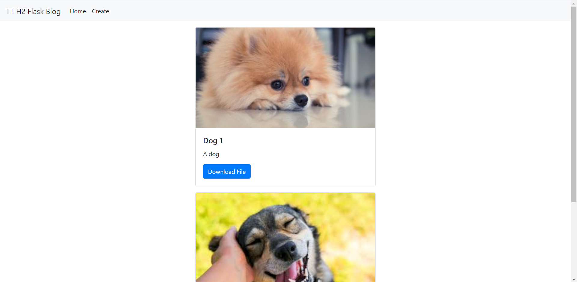 Flask blog demo showing dog posts with images and a Download File button.