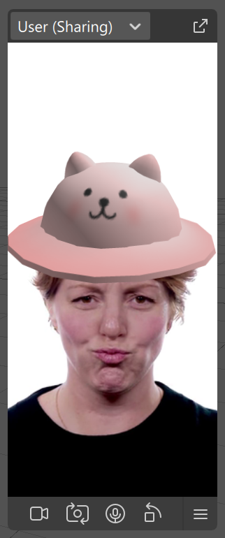 AR preview with a pink cartoon cat hat aligned over the user's head.