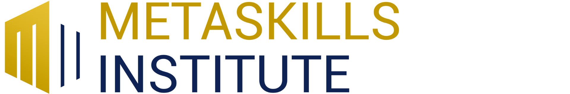 Metaskills Institute